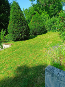 Photo de galerie - Entretien paysager 