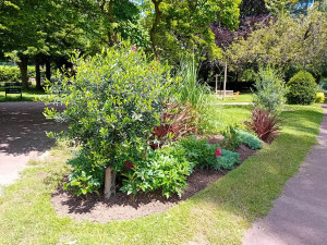 Photo de galerie - Désherbage, traçage massif, Plantation. 