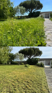 Photo de galerie - Tonte de pelouse - Débroussaillage