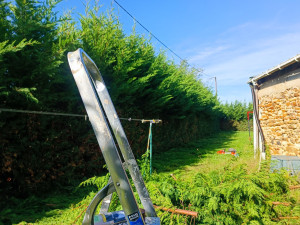 Photo de galerie - Taille de haies et d'arbustes