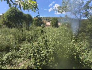 Photo de galerie - Avant mon passage 