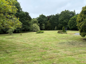 Photo de galerie - Tonte de Pelouse