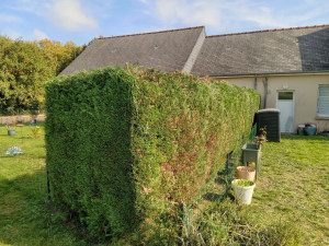 Photo de galerie - Après 