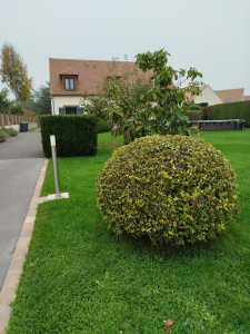 Photo de galerie - Paysagiste - Aménagement du jardin