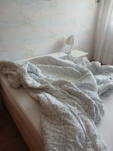 Photo de galerie - Ménage 