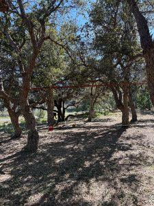 Photo de galerie - Débroussaillage d’un terrain de 2000m2