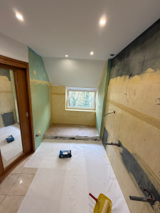 Photo de galerie - Remplacement sdb