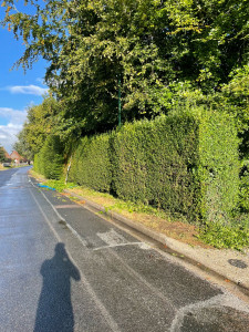 Photo de galerie - .