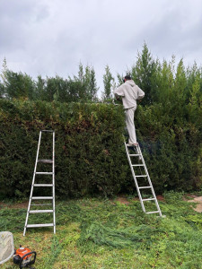 Photo de galerie - Paysagiste - Aménagement du jardin