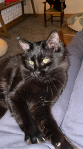 Photo de galerie - Câlin 