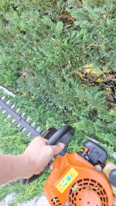 Photo de galerie - Taille haie 