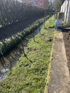 Photo de galerie - Débroussaillage 