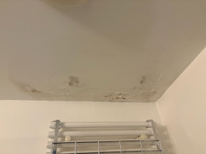 Photo de galerie - Recherche de fuite ?