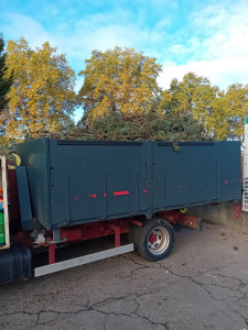 Photo de galerie - Location de benne 