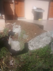Photo de galerie - Jardinier