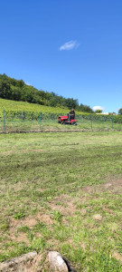 Photo de galerie - Tonte avec le tracteur tondeuse 