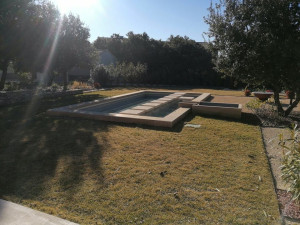 Photo de galerie - 
J'ai taillé les arbres du jardin, coupé l'herbe autour de la piscine et l'ai nettoyée