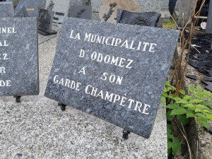 Photo de galerie - Bricolage et multi services