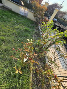 Photo de galerie - Avant