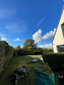 Photo de galerie - Tonte de pelouse - Débroussaillage