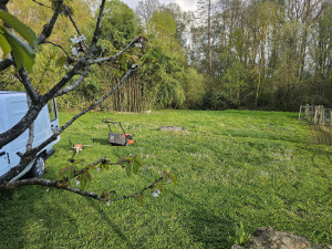 Photo de galerie - Tonte de pelouse - Débroussaillage