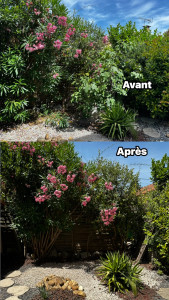 Photo de galerie - Jardinier