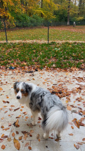 Photo de galerie - Jardin