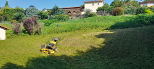 Photo de galerie - Tonte de pelouse Débroussaillage