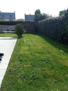 Photo de galerie - Tonte 
