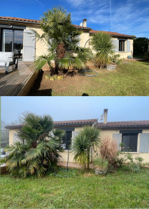 Photo de galerie - Avant après 