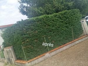 Photo de galerie - Après 