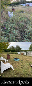 Photo de galerie - Débroussaillage d’un terrain en friche 