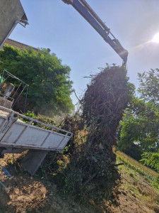 Photo de galerie - Evacuation de déchet végétaux 
