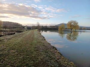 Photo de galerie - Entretien étang+ îles 