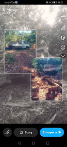 Photo de galerie - Abattage d arbre  vente de bois