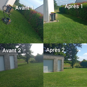 Photo de galerie - Réalisation tonte de pelouse 