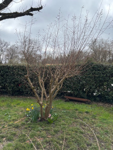 Photo de galerie - Jardinier