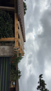 Photo de galerie - Couverture - Toiture