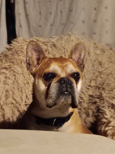 Photo de galerie - Monsieur tronne
