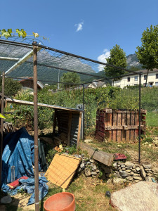 Photo de galerie - Pose piquet pour plante grimpante 