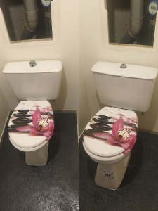 Photo de galerie - Remplacement WC