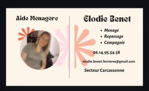 Photo de galerie - Ménage 
repassage compagnie 
