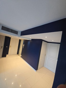 Photo de galerie - PEINTURE DÉCORATIVE/ CRÉATION DE FAUX PLAFOND AVEC SPOTS INTÉGRÉS 