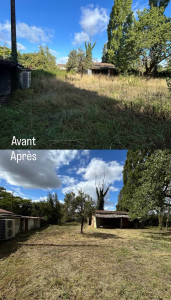 Photo de galerie -  Débroussaillage intensif, coupe des herbes hautes, nettoyage des abords et finitions pour retrouver un terrain propre, dégagé et entretenu.