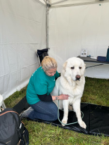 Photo de galerie - Massage 