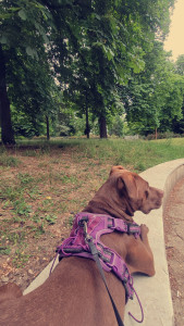 Photo de galerie - Garde de mia