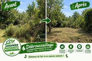 Photo de galerie - Débroussaillage 