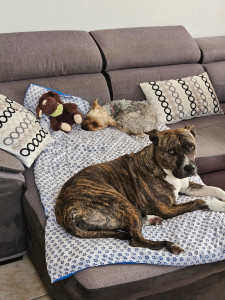 Photo de galerie - Dans la maison.