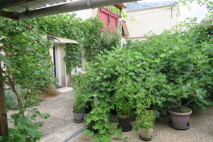 Photo de galerie - Jardinier