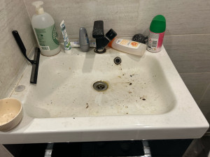 Photo de galerie - Ménage